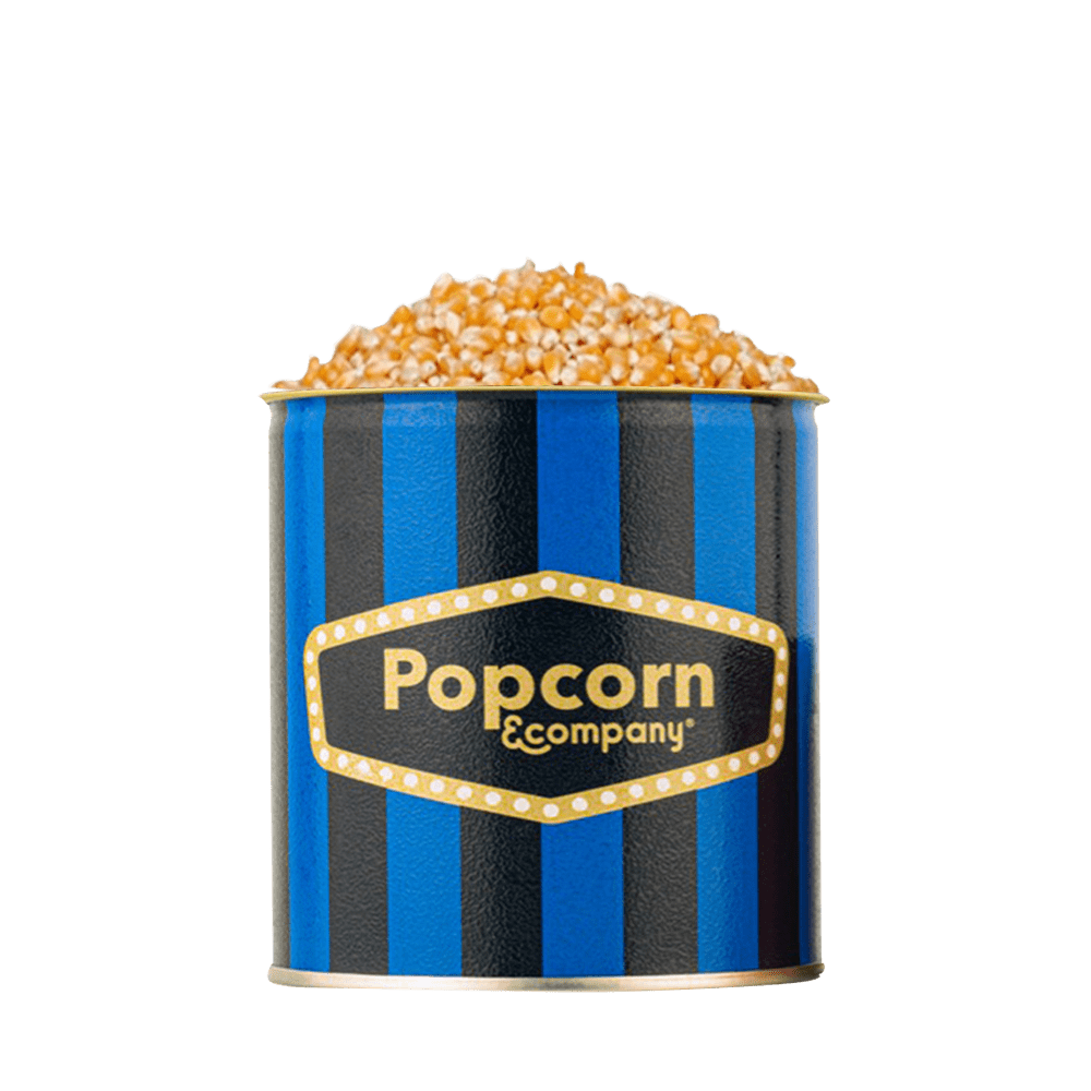 Popcorn Kernels Regular Tin 600 GM - Popcorn & Company 