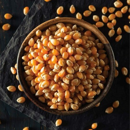 
                  
                    High-quality popcorn maize for popcorn machines.
                  
                
